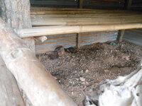 DSCN9492.JPG