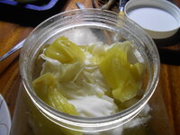 DSCN9517.JPG