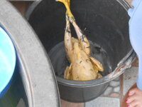 DSCN9503.JPG