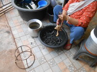 DSCN9501.JPG