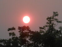 DSCN9509.JPG