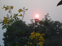 DSCN9508.JPG