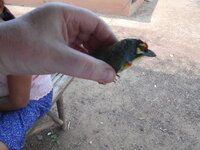 DSCN0007.JPG