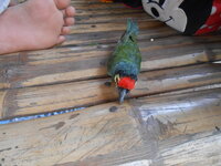 DSCN0006.JPG