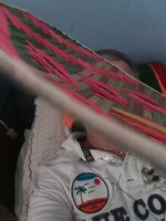 IMG_20240408_164232_860.jpg