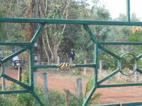 DSCN9602.JPG