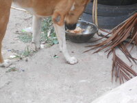 DSCN9791.JPG