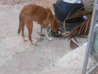 DSCN9790.JPG