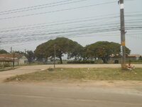DSCN9716.JPG