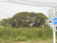 DSCN9725.JPG