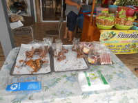 DSCN9729.JPG DSCN9729.JPG