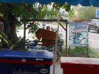 DSCN9737.JPG