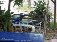 DSCN9746.JPG