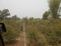 DSCN9768.JPG