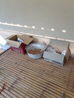 IMG_20240407_163618_315.jpg
