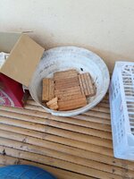 IMG_20240412_075455_342.jpg