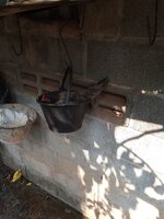 IMG_20240412_092644_103.jpg
