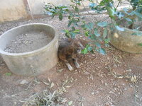DSCN9635.JPG