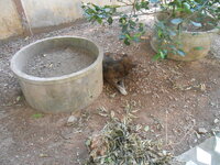 DSCN9634.JPG