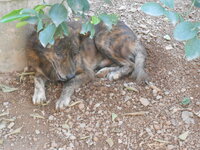 DSCN9636.JPG