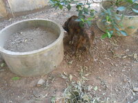 DSCN9632.JPG