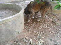 DSCN9633.JPG