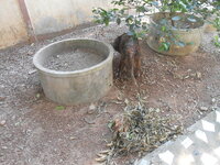 DSCN9631.JPG