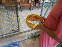 DSCN9588.JPG