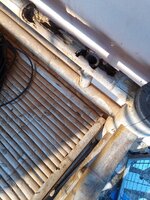 IMG_20240407_163524_058.jpg