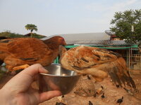 DSCN9877.JPG