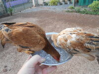 DSCN9875.JPG