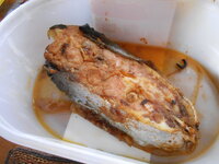 DSCN9856.JPG