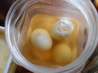 DSCN9859.JPG