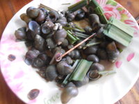DSCN9854.JPG