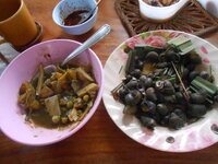 DSCN9860.JPG