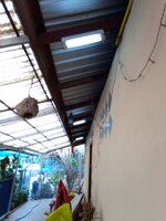 IMG_20240415_074321_983.jpg