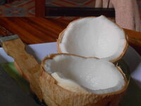 DSCN0024.JPG