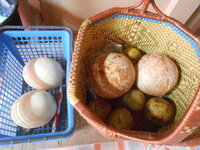 DSCN0020.JPG
