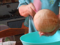 DSCN0027.JPG