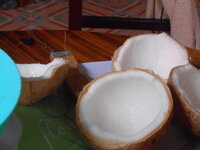 DSCN0030.JPG