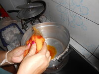 DSCN0037.JPG