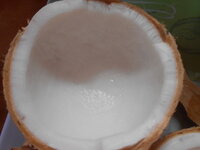 DSCN0034.JPG