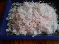 DSCN0035.JPG