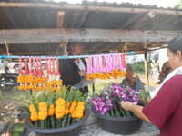 DSCN0143.JPG