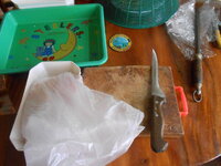 DSCN9966.JPG