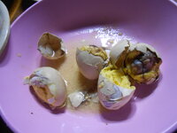 DSCN9485.JPG
