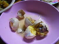 DSCN9484.JPG