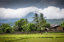 Laos_Canon-6.jpg