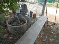 DSCN0735.JPG
