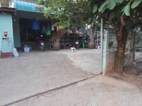 DSCN0346.JPG